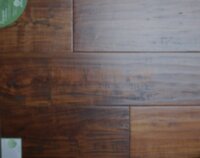 Acacia Amaretto TC-AC02