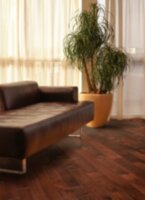 Hickory Rawhide REW-125CHR