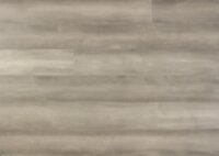 European Betula Excalibur ADDGCBET004