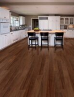 Anzo Acacia Engineered DE371P