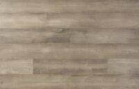 European Betula Silver ADDGCBET005