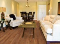 Carolina Pine VV023-00208 (50LVP501)