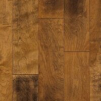 Birch Caramel Tint 0558CT