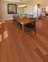 Jatoba Natural Dyna Engineered DE381P