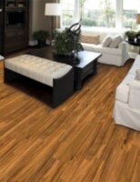 Natural Acacia Solid DH373S