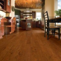 Ornamental Cherry L8714