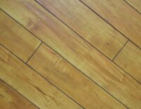 Sierra Nevada 120LC04