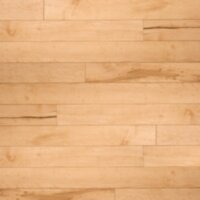 Hard Maple Calypso 3-1/4" HM0305R85FSC