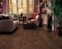 Liberty Brown ER7362