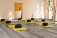 Orion 20-121-686XL-06