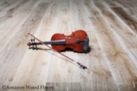 European Oak Quercus Villa Borghese RSEO-1460