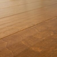 Birch Harvest EBD-HV