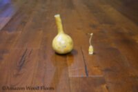 European Oak Quercus Villa Paganini RSEO-1430