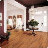 Brazilian Teak Cumaru Sepia S10A02