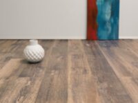 Salvaged Terra VTRSAL7