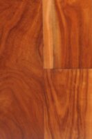 Acacia Golden Smooth 8EXACGOSM