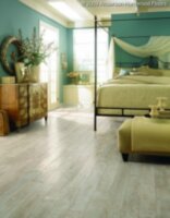 Sand Dollar Oak AA558-18212